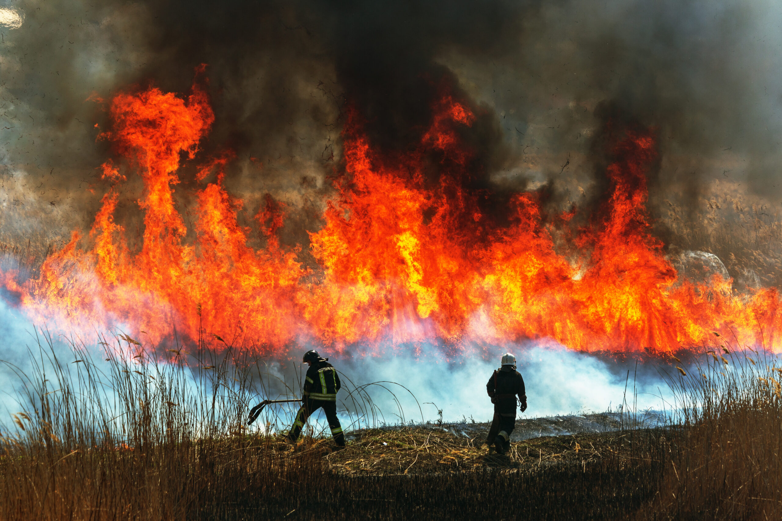 Increasing Wildfire Incidents